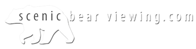 Scenic Bear Viewing