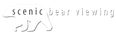 Scenic Bear Viewing