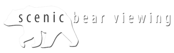 Scenic Bear Viewing